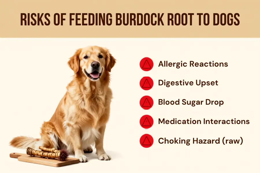 Can Dogs Eat burdock root