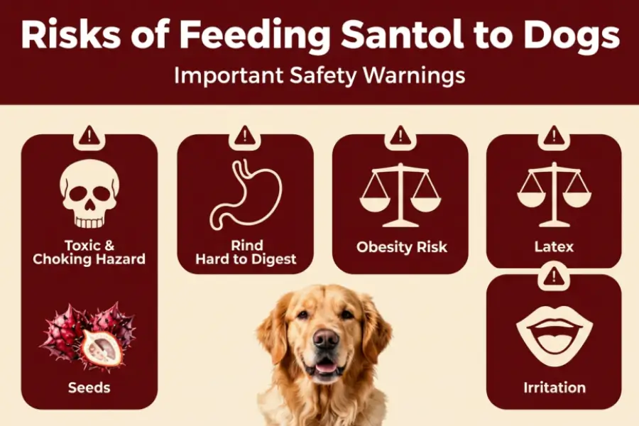 Can Dogs Eat Santol