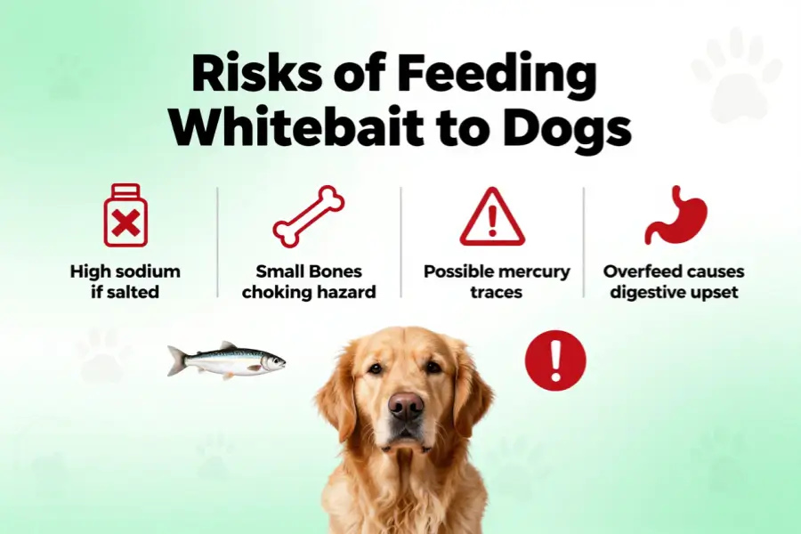 Can dogs eat whitebait