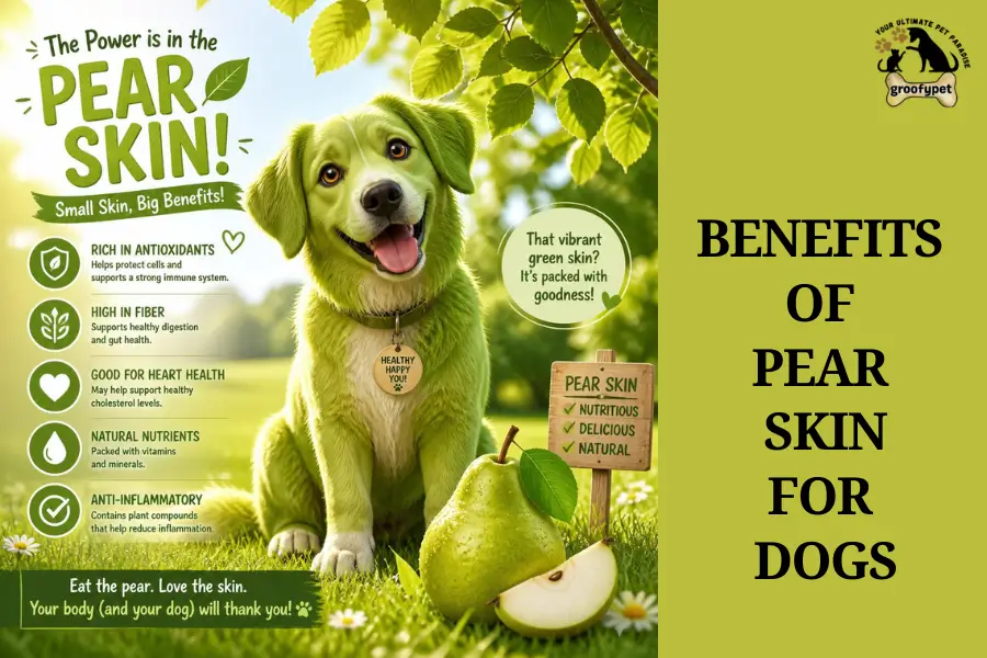 Can dogs eat pear skin