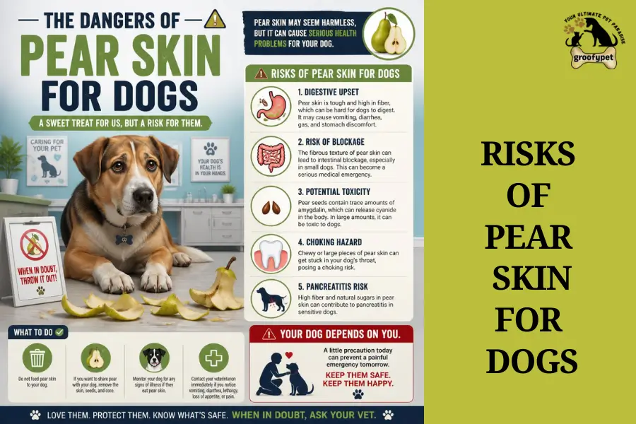 Can dogs eat pear skin