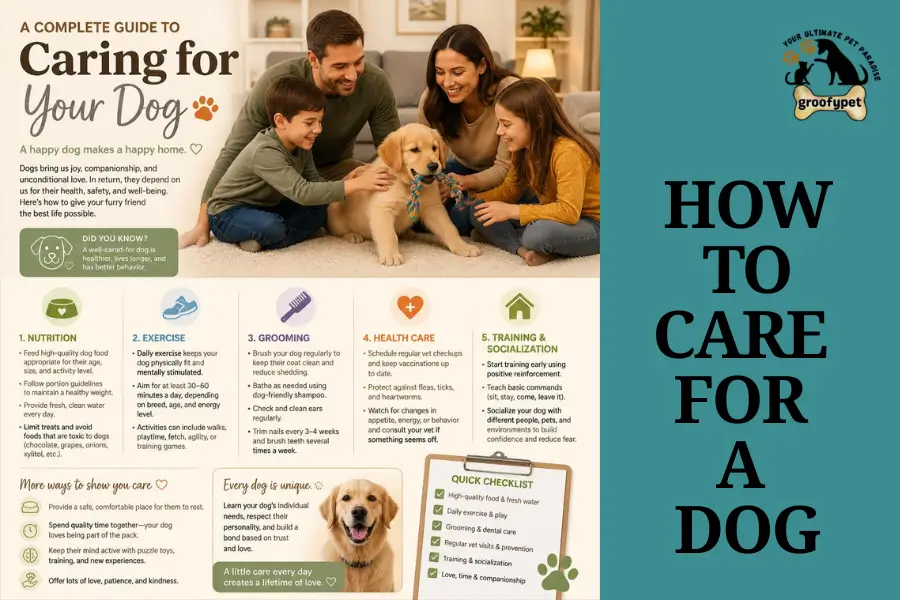 how to care for a dog