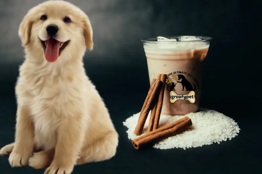 Can Dogs Drink Horchata