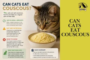 Can Cats Eat Couscous