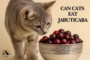 Can Cats Eat Jabuticaba