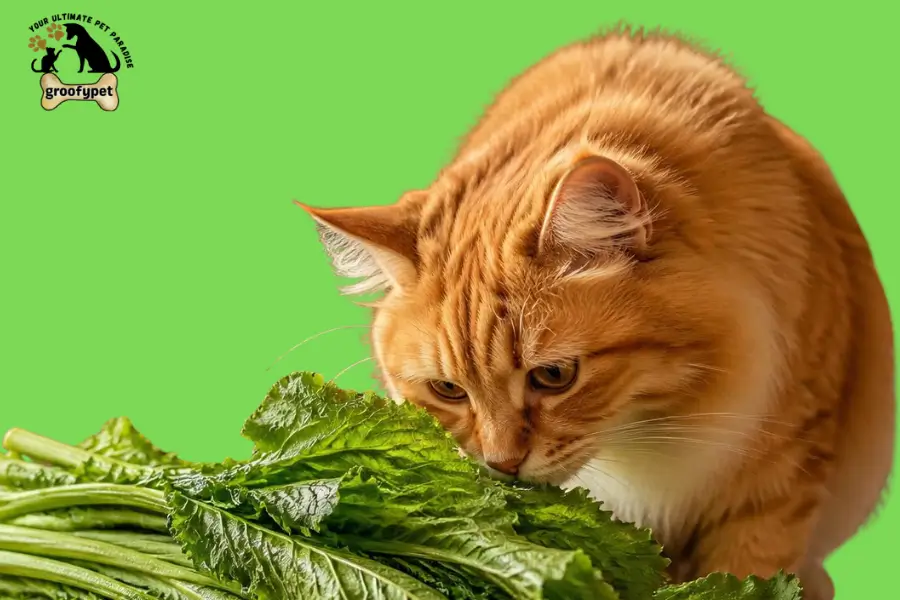 Can Cats Eat Mustard Greens