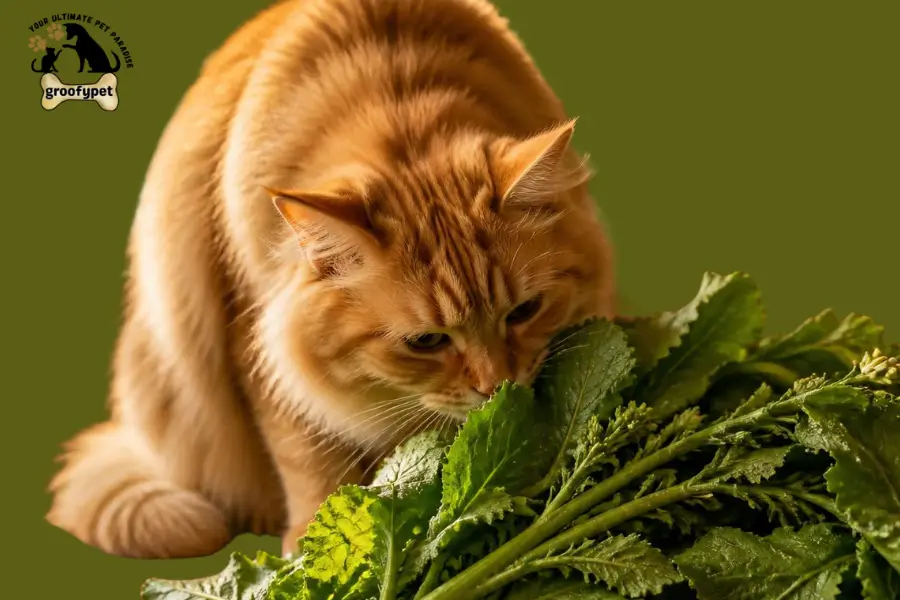 Can Cats Eat Mustard Greens