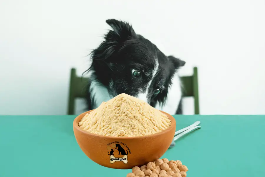 Can Dogs Eat Chickpea Flour