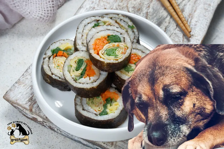 Can Dogs Eat Kimbap