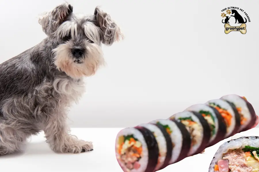 Can Dogs Eat Kimbap