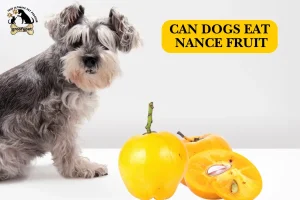Can Dogs Eat Nance Fruit