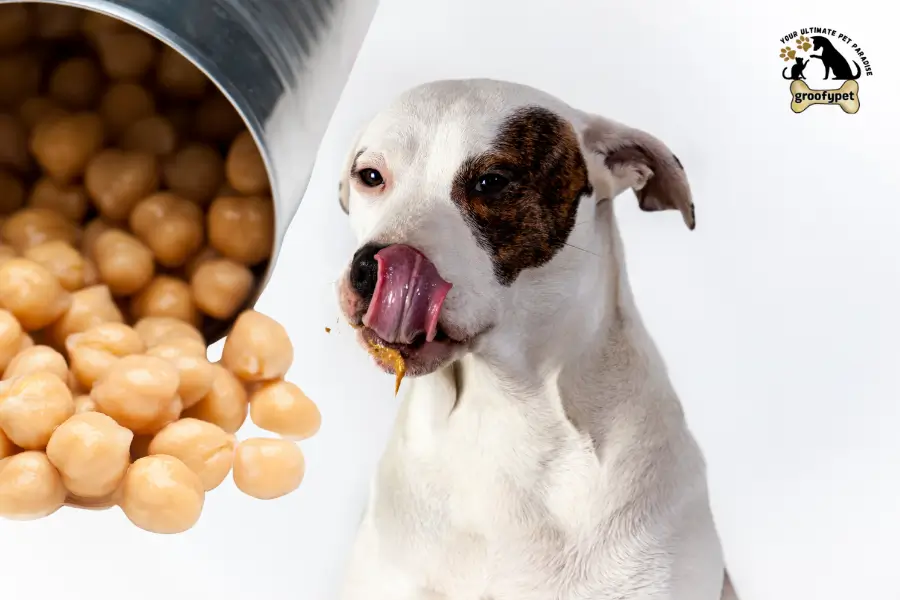 Can Dogs Eat Navy Beans