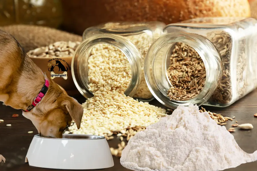 Can dogs eat rye flour?