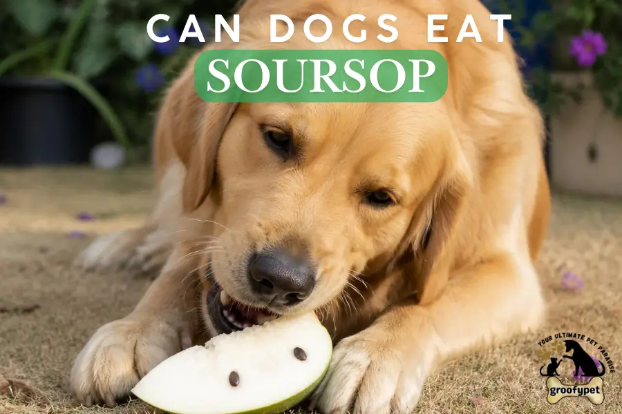Can Dogs Eat Soursop