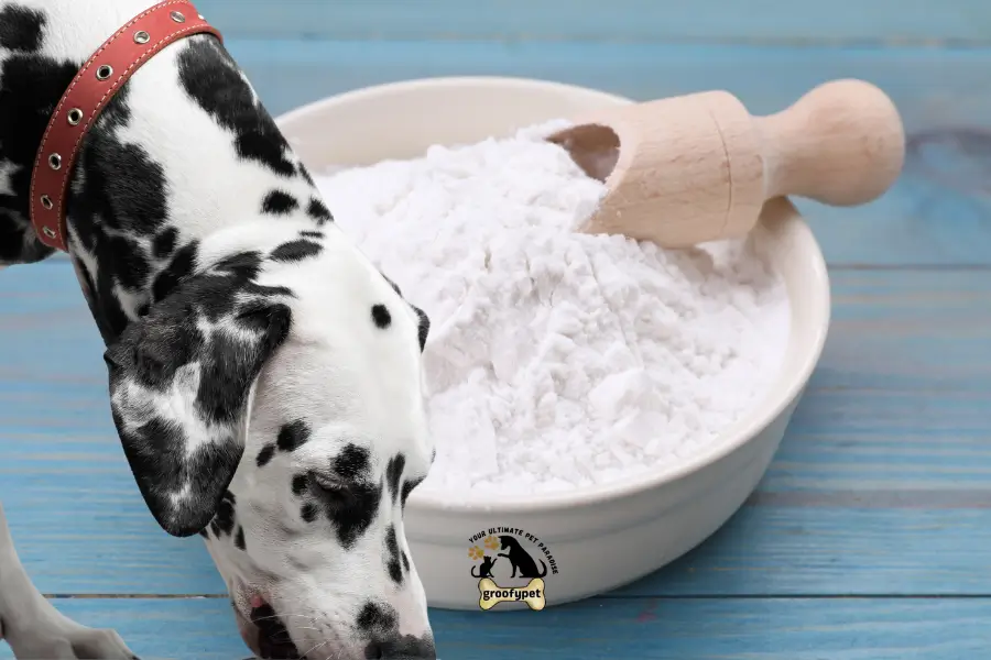 Can Dogs Eat Tapioca Flour