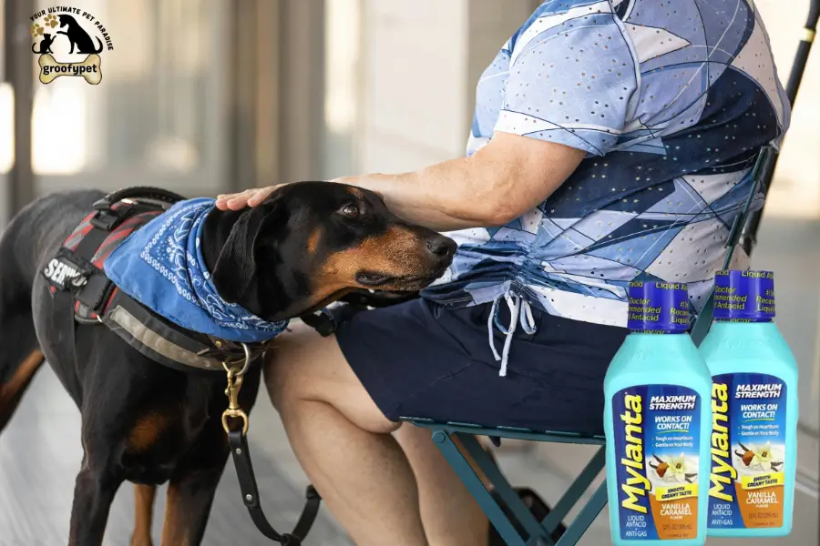Can Dogs Take Mylanta