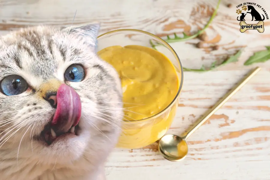 is mustard safe for cats