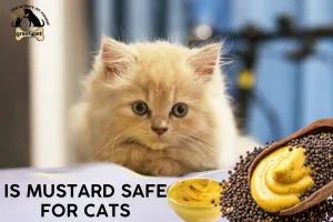 Is Mustard Safe for Cats