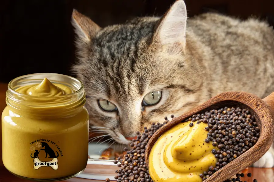 is mustard safe for cats