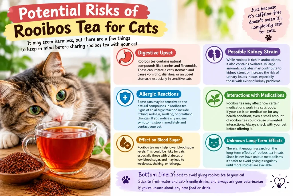 Can Cats Drink Rooibos Tea