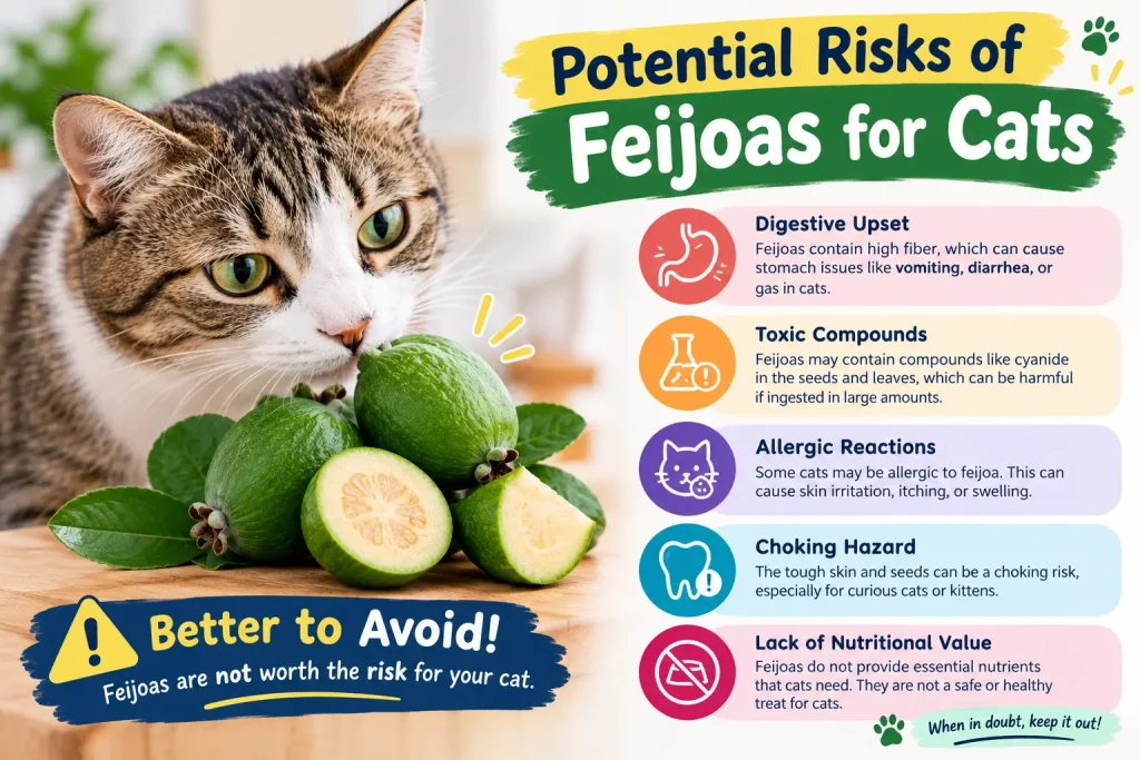 Can Cats Eat Feijoas