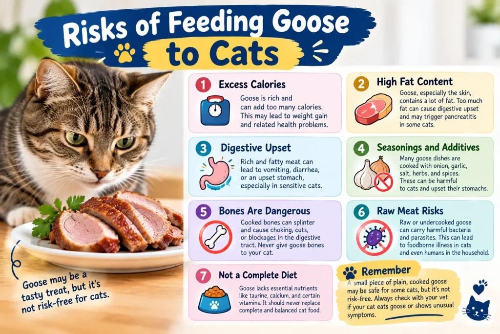 Can Cats Eat Goose