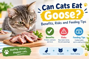 Can Cats Eat Goose