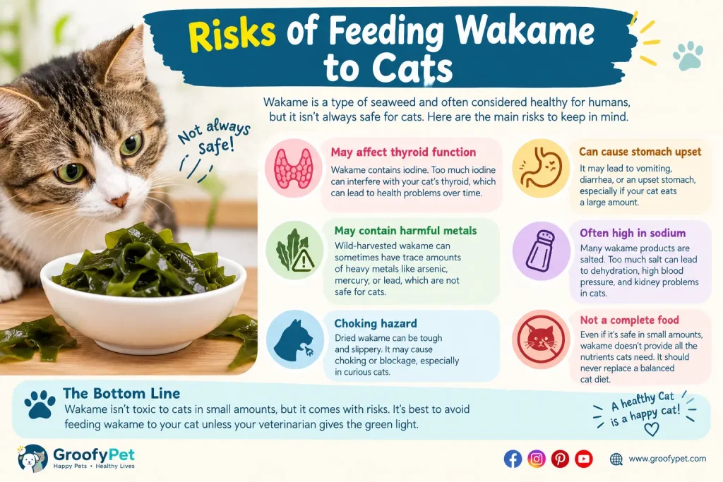 Can Cats Eat Wakame