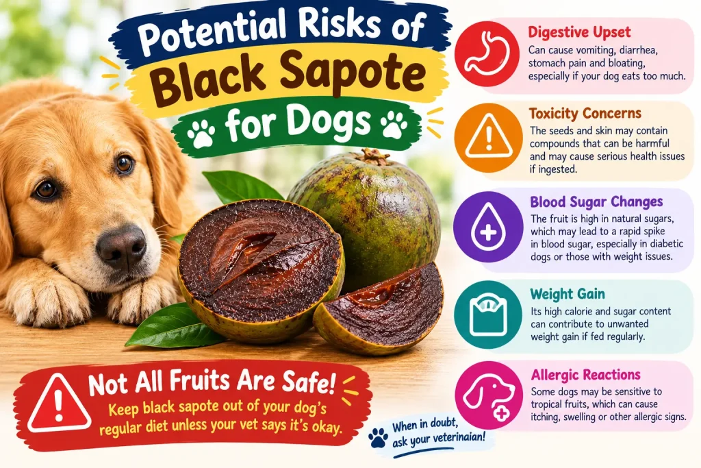 Can Dogs Eat Black Sapote