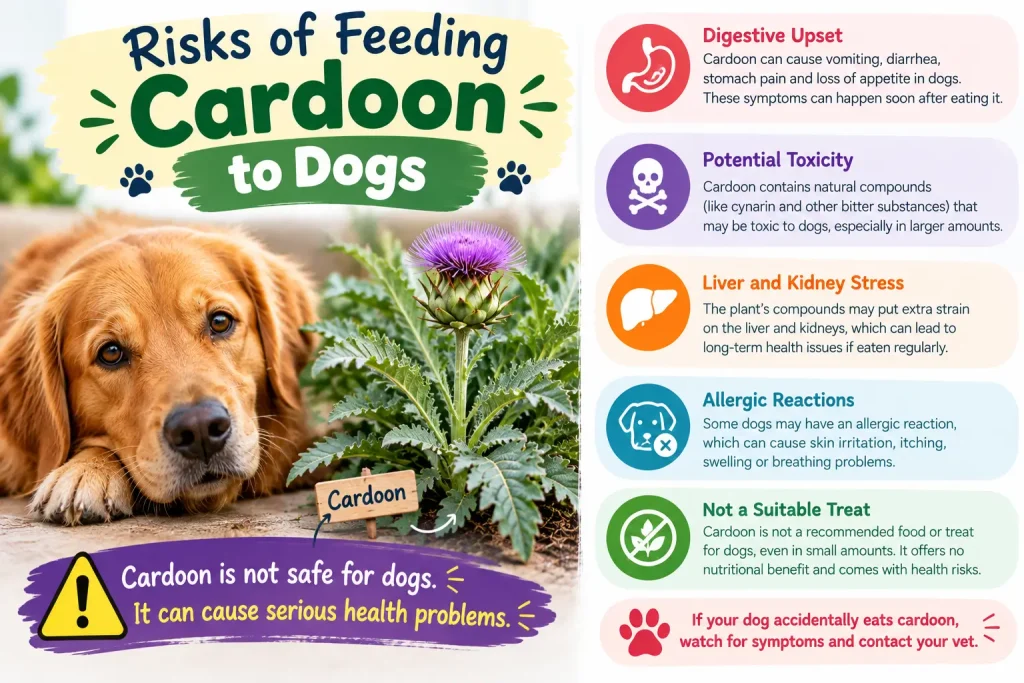Can Dogs Eat Cardoon