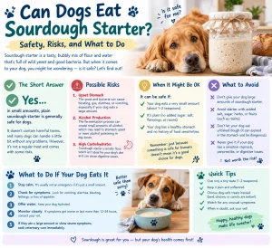Can Dogs Eat Sourdough Starter