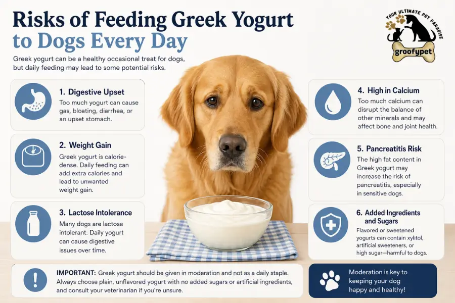 Can I Give My Dog Greek Yogurt Every Day