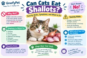 Can Cats Eat Shallots