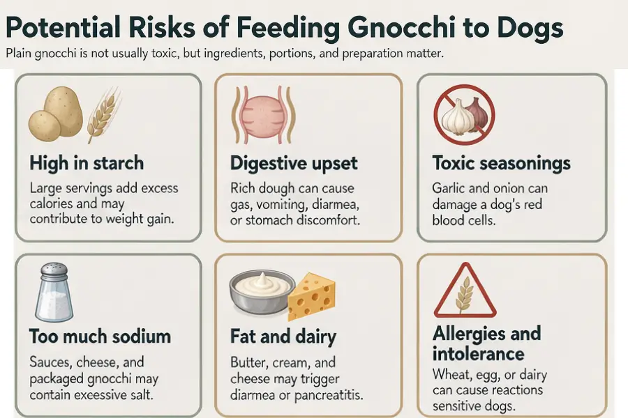 Can Dogs Eat Gnocchi